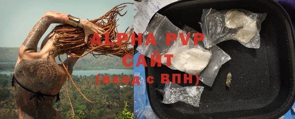 PSILOCYBIN Карпинск