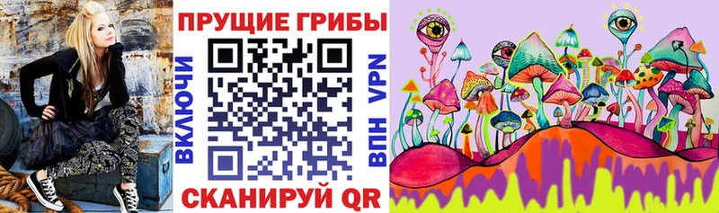 Купить  Заинск  Псилоцибиновые грибы Cubensis 